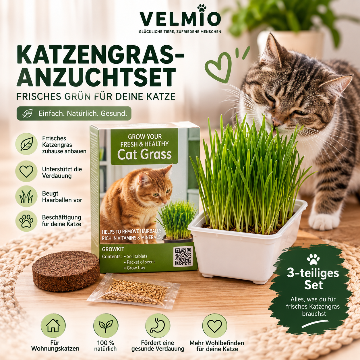 VELMIO Katzengras-Anzuchtset – 3-teiliges Grow Kit für Katzen 🌱🐱