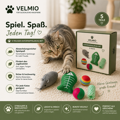 Katzenspielzeug-Set – 5-teilig | Verschiedene Spielzeuge