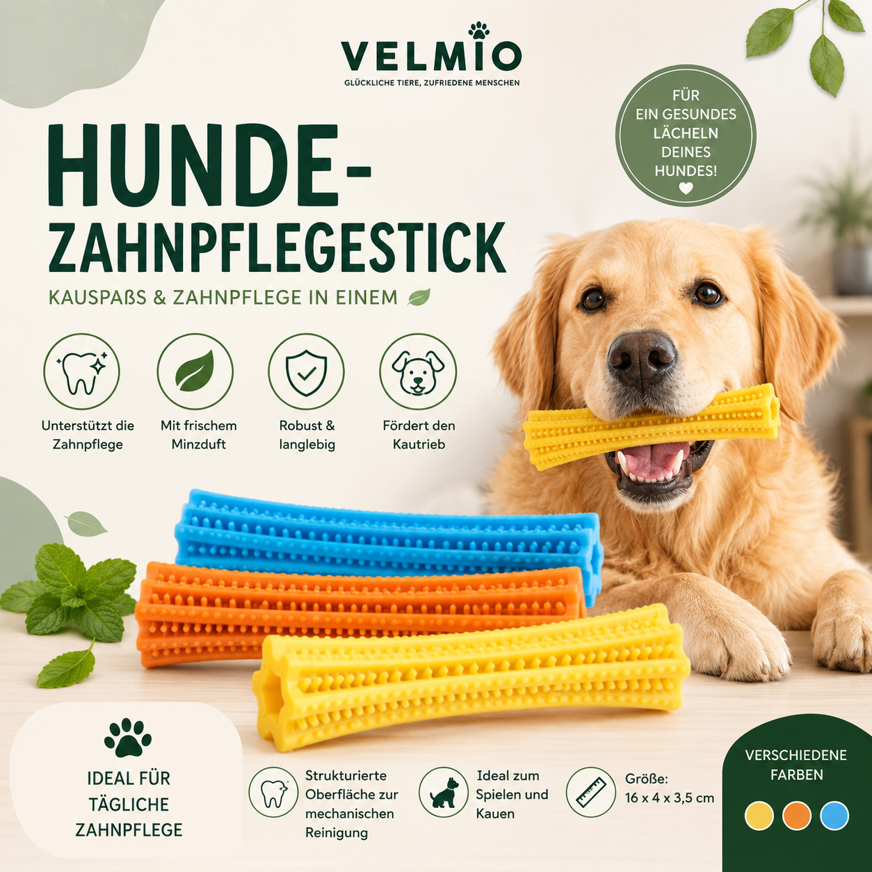 VELMIO Hunde-Zahnpflegestick – Kauspielzeug zur Zahnpflege