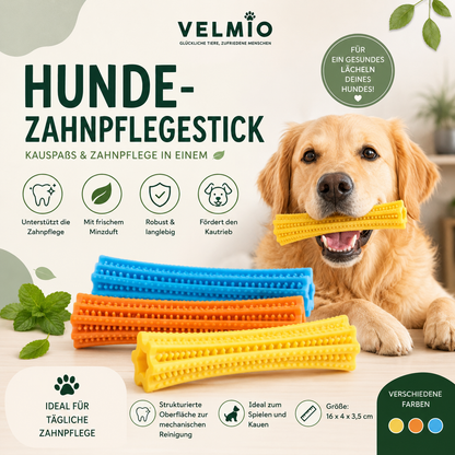 VELMIO Hunde-Zahnpflegestick – Kauspielzeug zur Zahnpflege