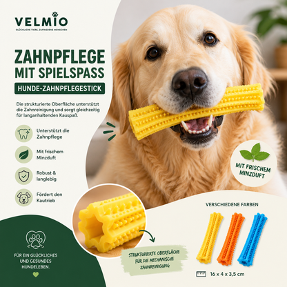 VELMIO Hunde-Zahnpflegestick – Kauspielzeug zur Zahnpflege