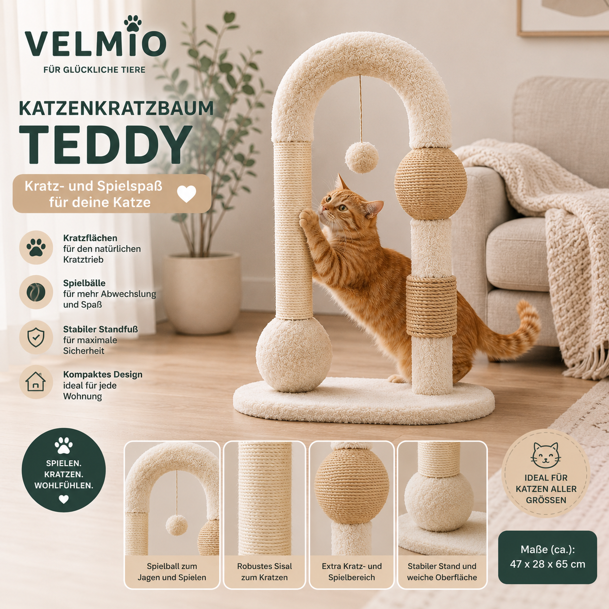 VELMIO Katzenkratzbaum Teddy – Kratzbaum mit Spielbällen | 65 cm