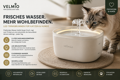 VELMIO LED Trinkbrunnen für Haustiere – 2 L