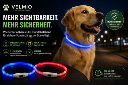 VELMIO Wiederaufladbares LED-Hundehalsband – ca. 70 cm 🐶✨