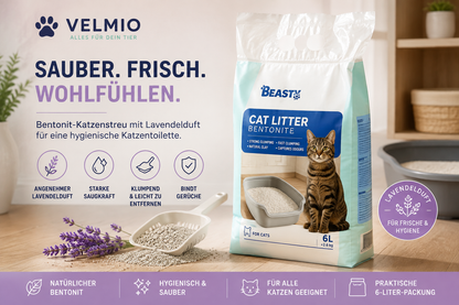 VELMIO Bentonit-Katzenstreu mit Lavendelduft – 6 L 🐱💜